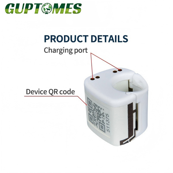 Geo Fence Pigeon GPS Tracking Device Waterproof With Flight Path Historical Trajectory