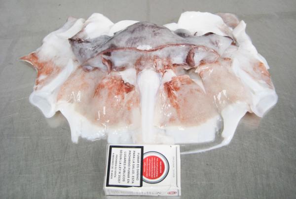 BRC Giant Sea Squid Neck Meat , Gigas Bqf Export Thailand  Squid Neck Of Peru