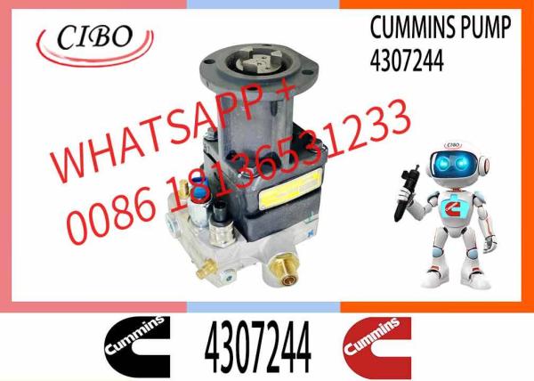 Hot Neutral Genuine Engine Part Qsk60 Fuel Pump Fuel Injector Pump 4307244 2897671