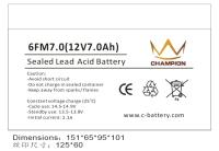 Batterie d'alimentation d'énergie non interruptible de 6FM7 F250 12v 7ah