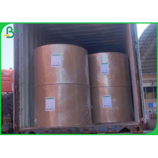 Jumbo Rolls 510mm PE Coated MG White 52gsm Poly Kraft Paper for bread bags