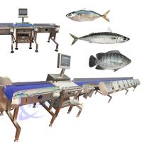 China Especialidade Gráfico de Peixe de Carapaça Gráfico de Peixe de Carapaça Sorter de Peixe de Carapaça Sizer de Peixe de Carapaça Classificar