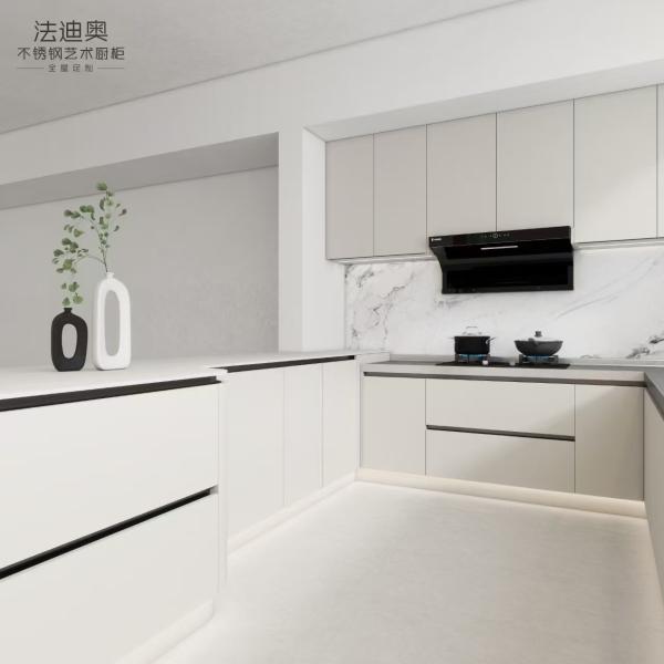 Fadior White Stainless Steel Kitchen Cabinets Modern Custom Design With Integrated Appliances