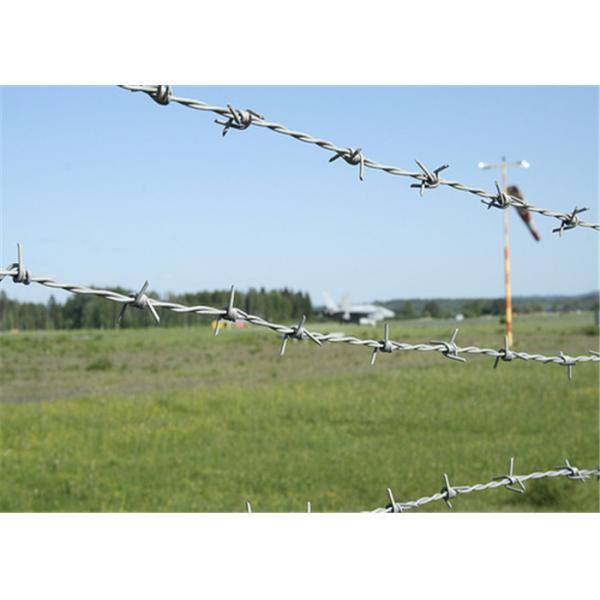 25kg 1.8mm 10x12 гальванизировало провод бритвы