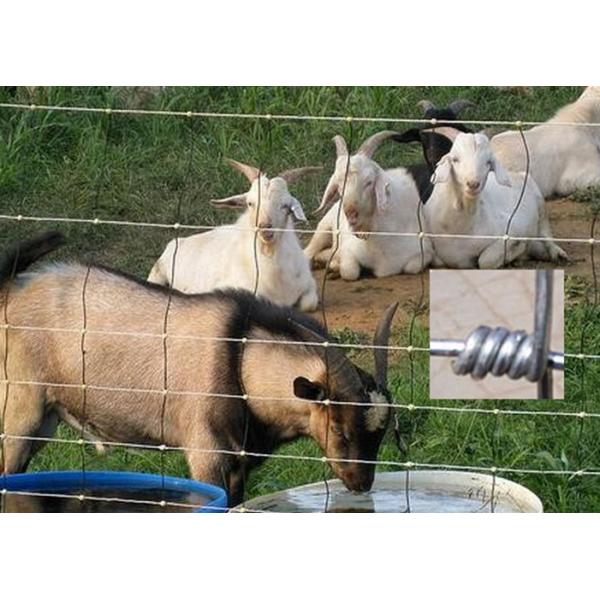 Hinge Joint / Knot Field Farm Mesh Fencing For Livestock , 0.6-2.5m Height