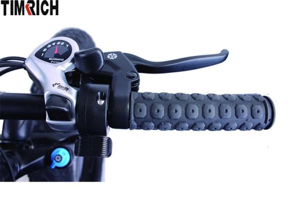 48V 500W Electric Battery Powered Bike TM-KV-2620 Beach Fat Tire Mountain Ebike