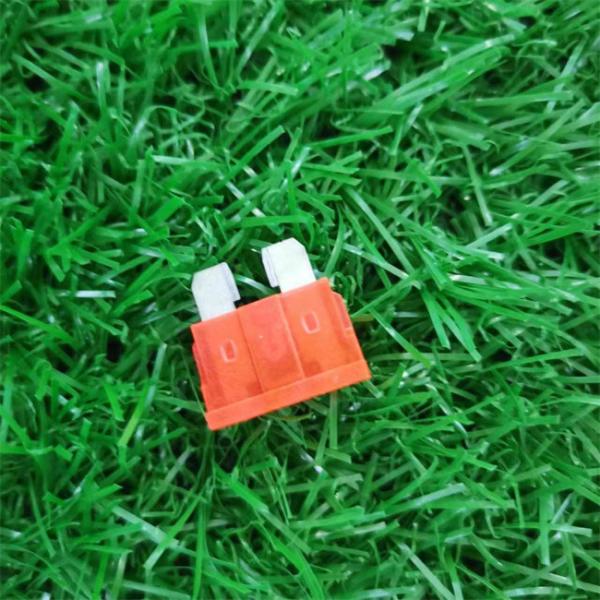 Low Voltage Automotive Blade Fuse For Cars Trucks UL Certified