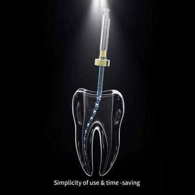 Comprimento dental bordado de Endo Rotary Files 28mm do canal de raiz