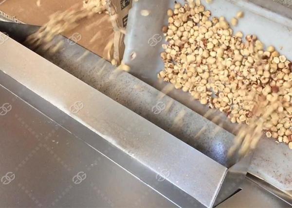 Roasted Hazelnut Pine Nut Peeling Machine , Automatic Cashew Peeler Machine GELGOOG