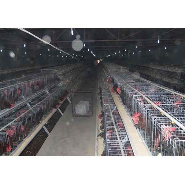 A Frame Male And Female Seperate Breeder Cage