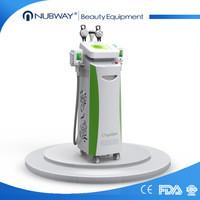 Fat Dissolving Cryolipolysis Slimming Machine With 2 Handles Working At Same Time