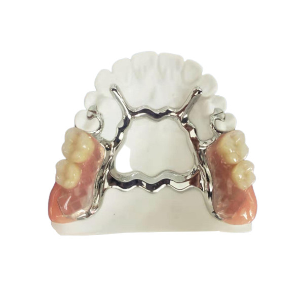 Natrural затеняет 3D печатая фиксированный съемный Denture для исследования дантиста