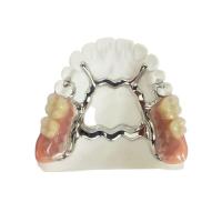 Natrural ombragent 3D imprimant le dentier démontable fixe pour le dentiste Study