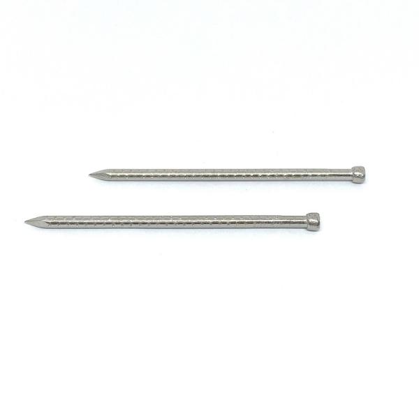 Pregos de aço inoxidável ocos quadriculados da pata SUS304 da cabeça perdida 3.15X75MM