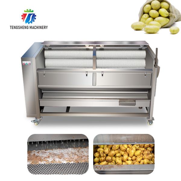 1500KG/H Sweet potato hair roller cleaning machine carrot automatic peeling cleaning potato peeling machine