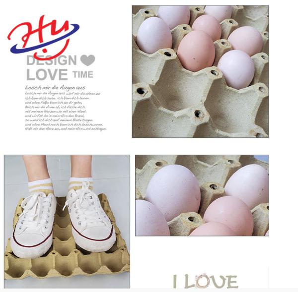 Factory direct sale 1000pcs/hour full Automation Egg Tray Machine Forming Machine