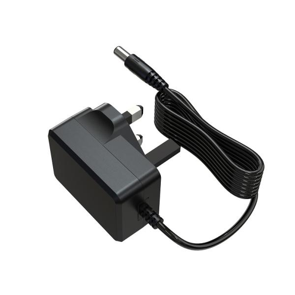 adaptador universal da fonte de alimentação de DC da montagem da parede do adaptador da fonte de alimentação do interruptor de 500mA 24V