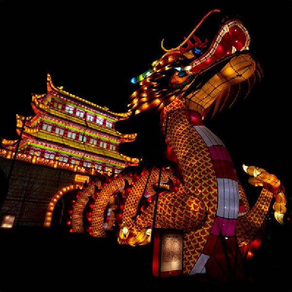 Wonderland Immersive Experience Winter Light Traditional Lantern Festival