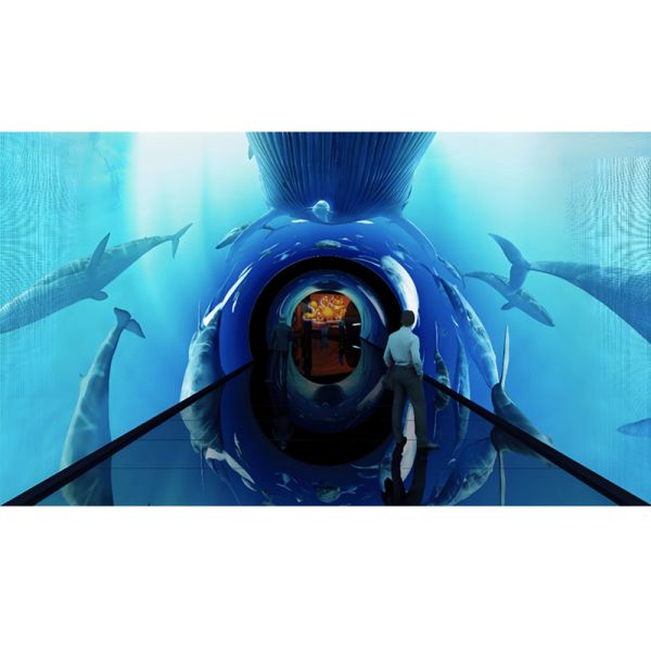 Immersive Flexible Curved LED Videos Walls Display 3D Interactive Tunnel LED Screen