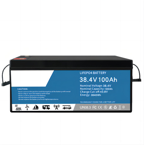 0.2C que descarga la batería de litio LifeP04 100ah multifuncional para el respaldo del centro de datos