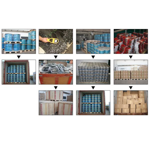 Arnés ajustable de PVC de 20 pies para perros para mesa de aseo, ecológico