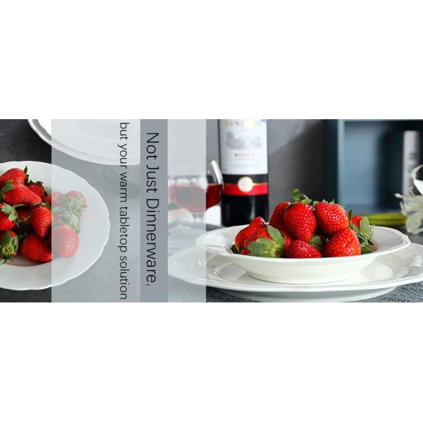 Divided Dinner Plates For Adults Ceramic