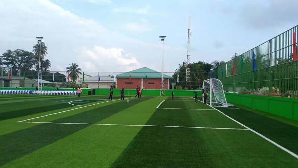 Shock Absorbing 50mm Nylon Artificial Turf for High Traffic Areas High-Performance 50mm PP Turf for Professional Training Centers