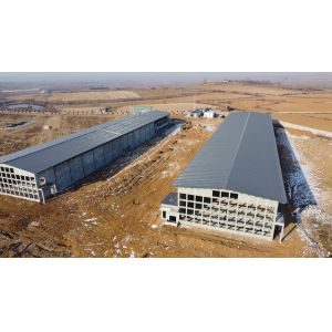 Prefab Steel Insulated Commercial Broiler/Layer Poultry House