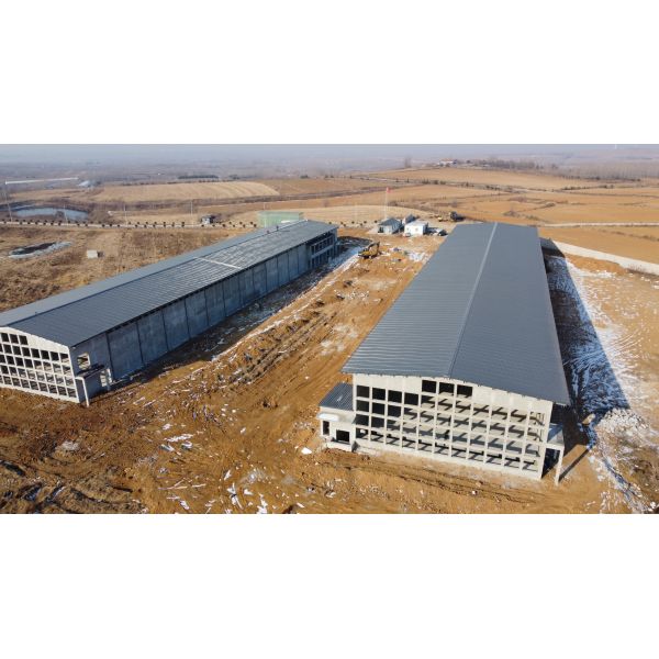 Prefab Steel Insulated Commercial Broiler/Layer Poultry House
