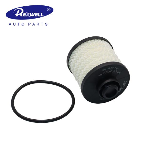 Peugeot Citroen Fuel Filter 1.6 HDI 9801366680 3646465