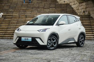 Left Drive Small BYD Seagull Electric Car 130km/H Maximum Speed Smooth Lines