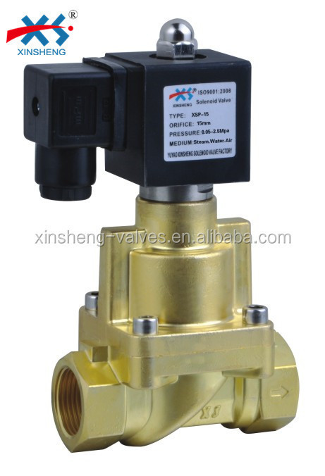 XSP Grade 2 Way High Pressure Piston Steam Solenoid ValveAC 220V/110V