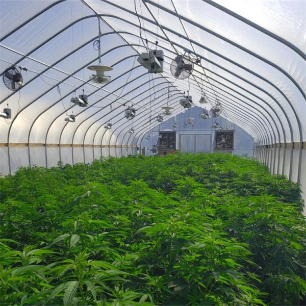 Портативный горячее погружение оцинкованной стали Авто легкий Dep теплицы для травы