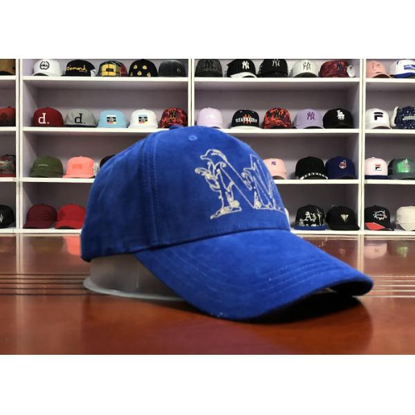 Hot Sales ACE Unisex 5 panels Blue Silk Print Logo With Flat Embroidery Logo on Left Panels Baseball Cap