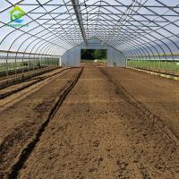 estufa da folha de Polytunnel dos brócolis do comprimento de 10-100m com quadro do metal