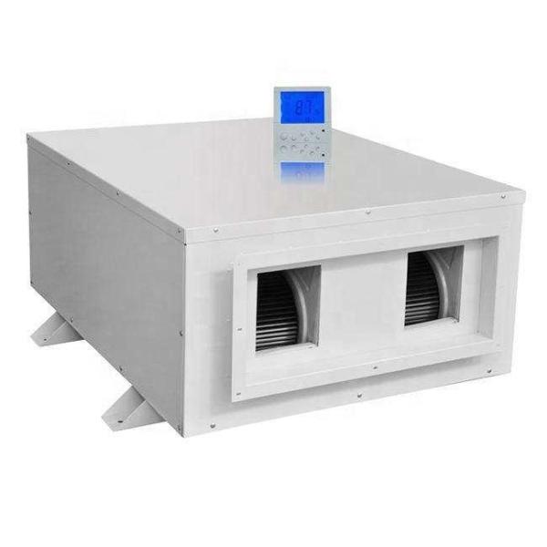 240L/D Low Price High Temperature Resistant Ceiling Mounted Dehumidifier Vegetable Room Air Dry for Industrial