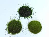 Algues Aonori à texture fine en vert vif pour les plats grillés