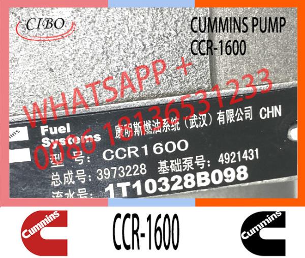 Conjunto original 3973228 CCR1600 da bomba do motor do combustível para o ccr 1600 da bomba 3973228 da injeção do motor de QSL