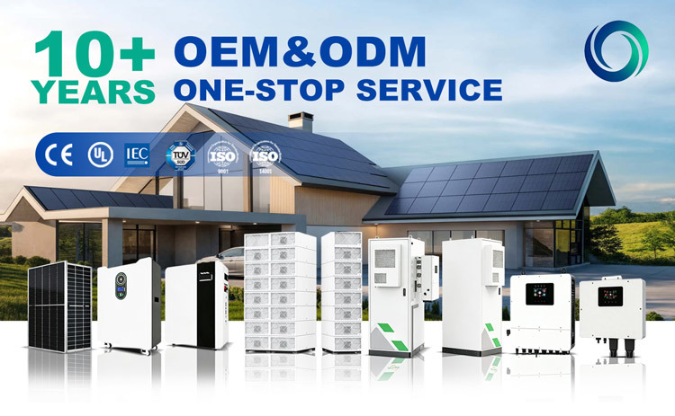 Shaanxi Tianon New Energy Technology Co., Ltd