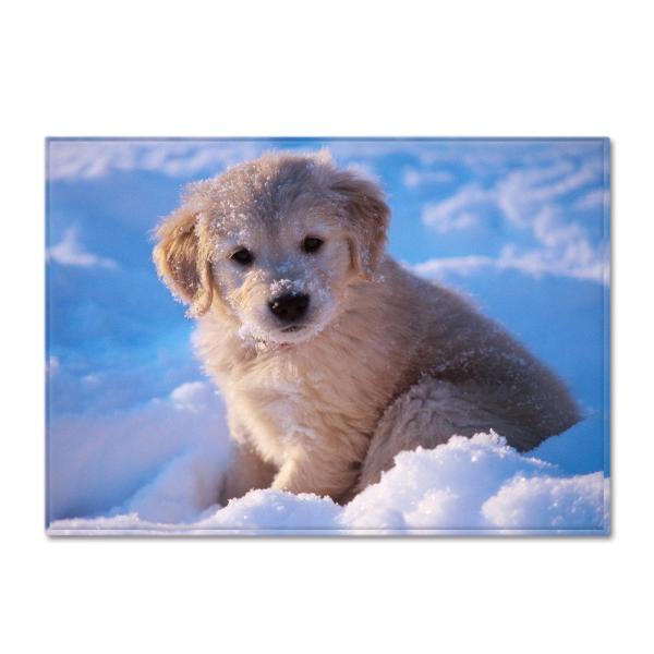 Animal New Cartoon Large Carpet Source Wholesale Feather ins Style Bedroom Floor Mats