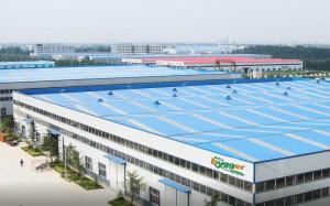 Shenzhen Mago Trading Co., Ltd.