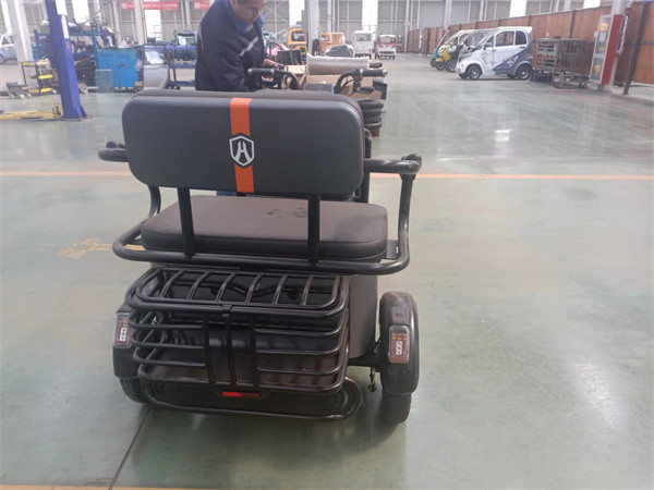 D18 Travel Leisure Electric Tricycle Three Wheel Electric Bicycles Electric Tricycle For 2 Adults