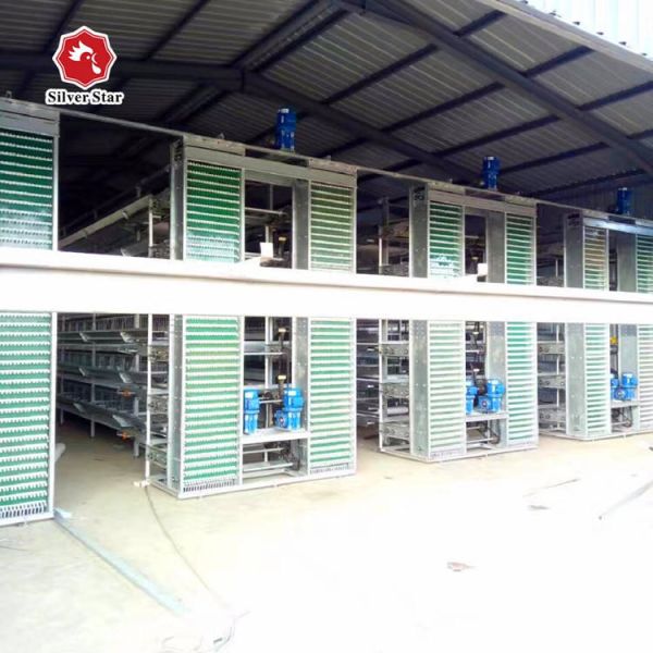 Fully Automatic Hot-Dip Galvanized H-Type Broiler Chicken Cage for High-Density Poultry Farming