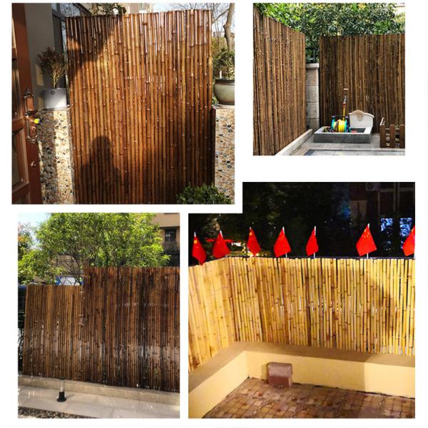 Black Natural Decorative Bamboo Fence 4Ft 6Ft 8Ft For Garden Privacy Home Garden