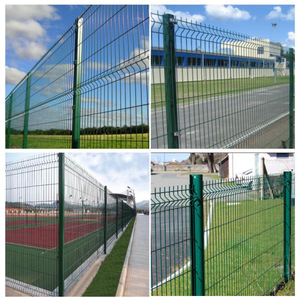 PVC 3mm 4mm сваренный покрыл PVC зеленого цвета загородки ячеистой сети 3D покрыл