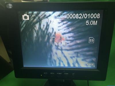 Ampliação portátil da câmera da pele e do cabelo de Demic Videoscope do varredor da pele a 230 vezes