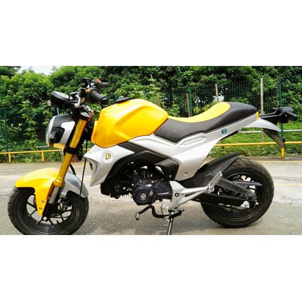 The New Monkey TT120-M