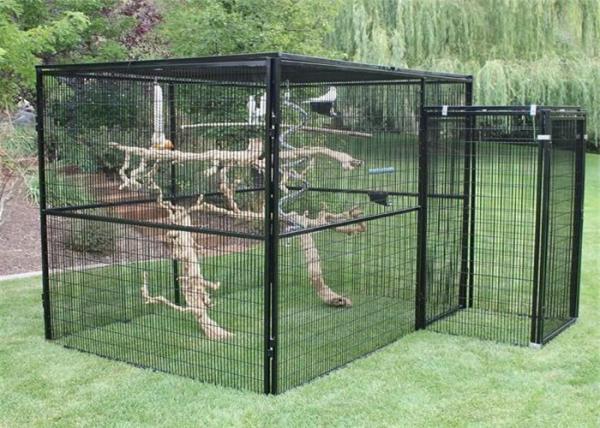 Customized  Bird Aviary /Parrot Aviary Customized Own Size