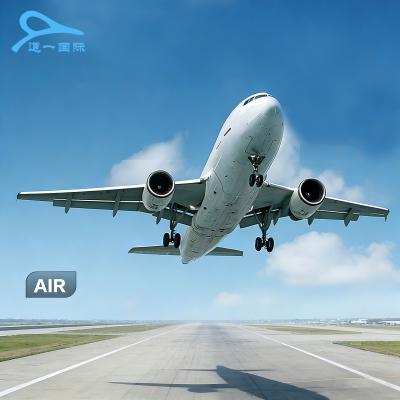 Flexible Global Freight Forwarding Services , Reliable International Warehouse Services