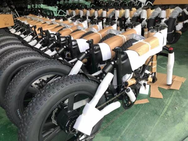 20 Inch Electric Fat Tire Bike 500w 20 X 4.0 48v 13Ah RICH BIT 014